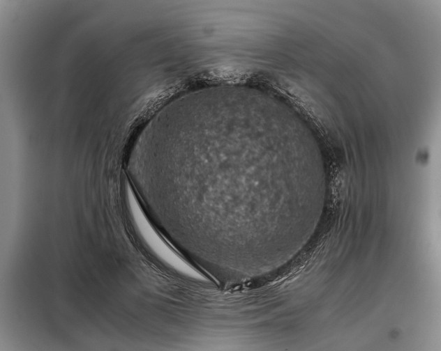 X0000099290693200805090931
