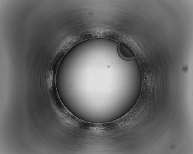 X0000099290694200805090931