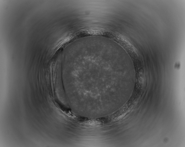 X0000099290696200805090931