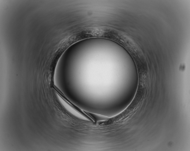 X0000099290697200805090931