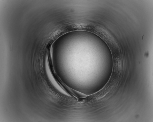 X0000099290700200805090931