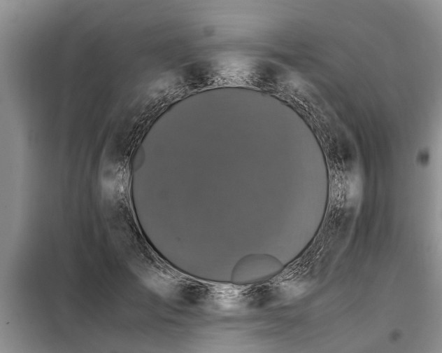 X0000099290701200805090931
