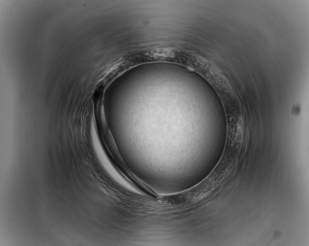 X0000099290704200805090931