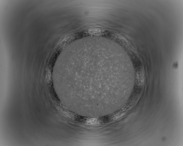 X0000099290705200805090931