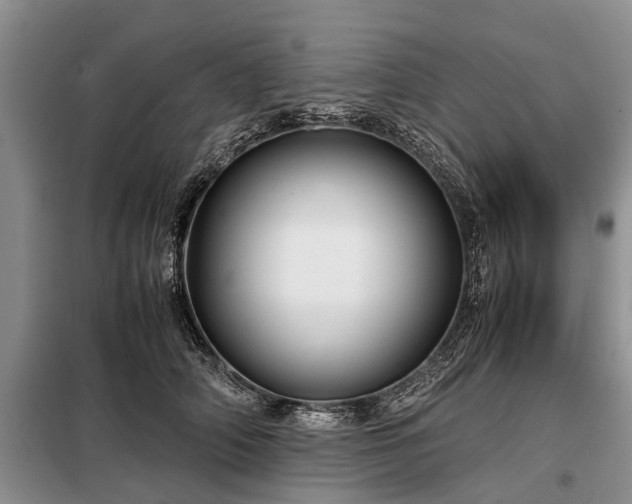 X0000099290706200805090931