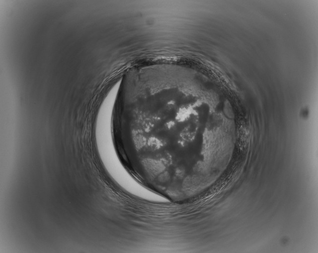 X0000099290707200805090931