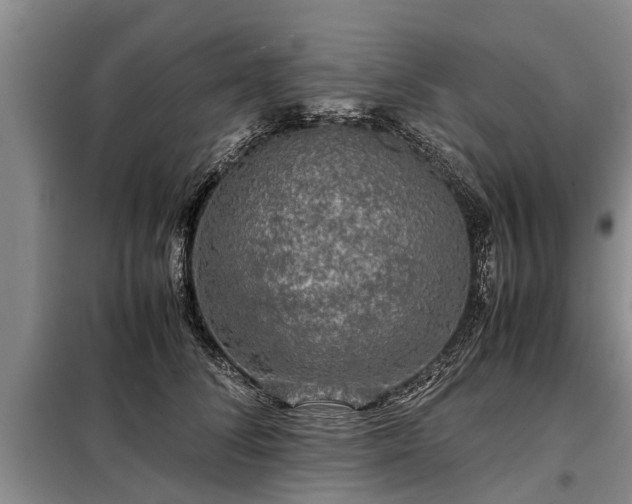 X0000099290708200805090931