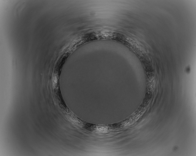 X0000099290709200805090931