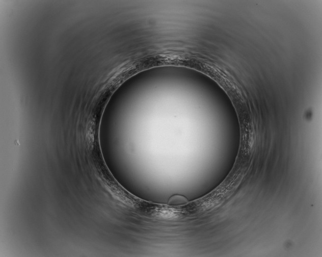 X0000099290710200805090931