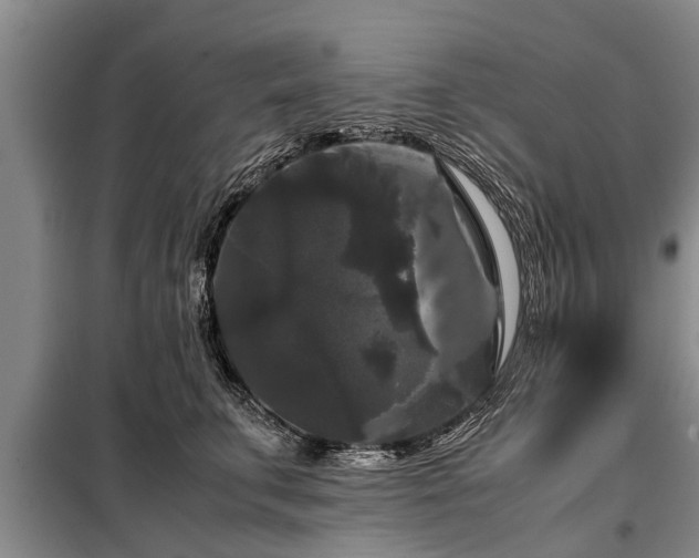 X0000099290711200805090931