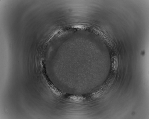 X0000099290712200805090931
