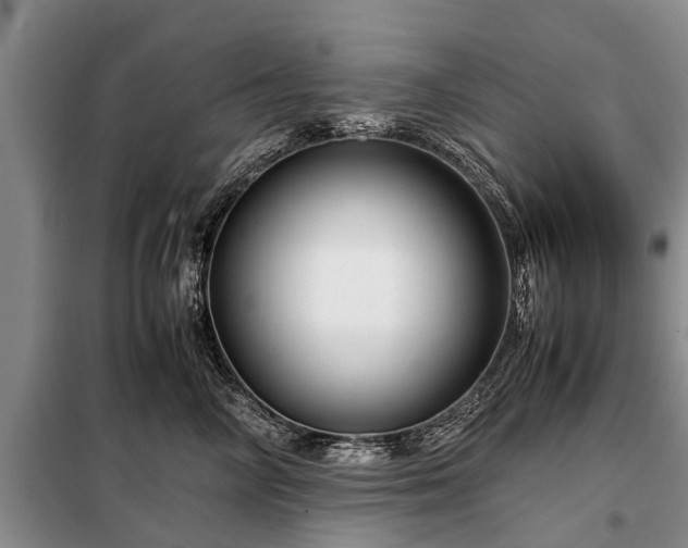 X0000099290714200805090931