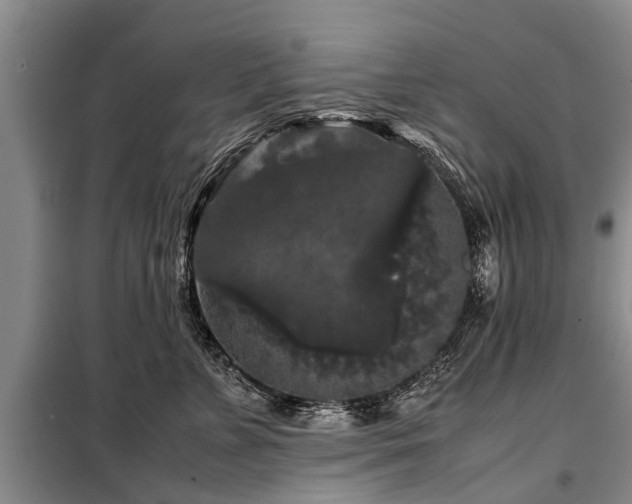X0000099290715200805090931