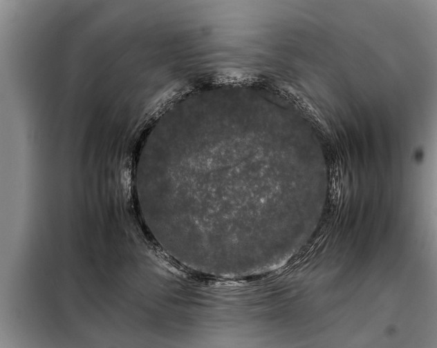 X0000099290716200805090931