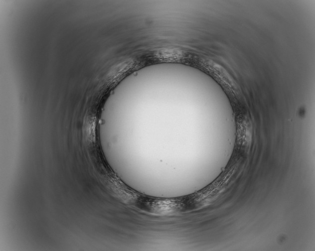X0000099290717200805090931