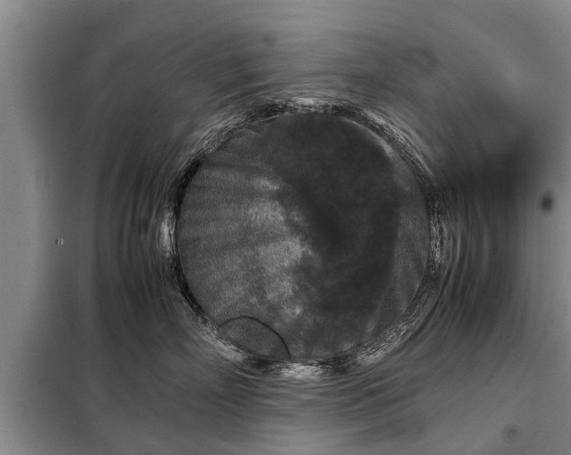 X0000099290718200805090931