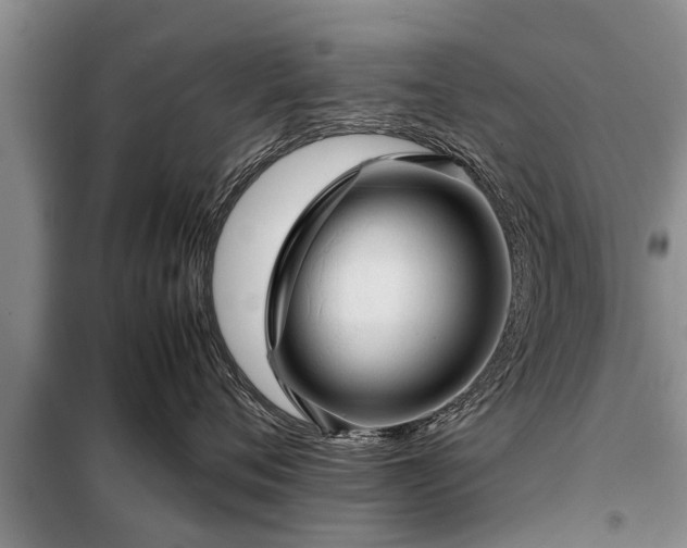X0000099290720200805090931