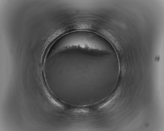 X0000099290721200805090930