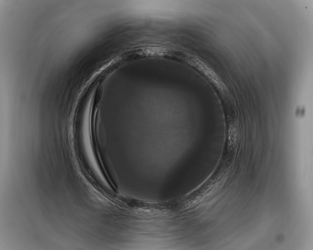 X0000099290722200805090930