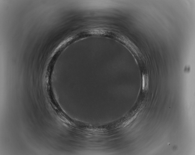 X0000099290723200805090930