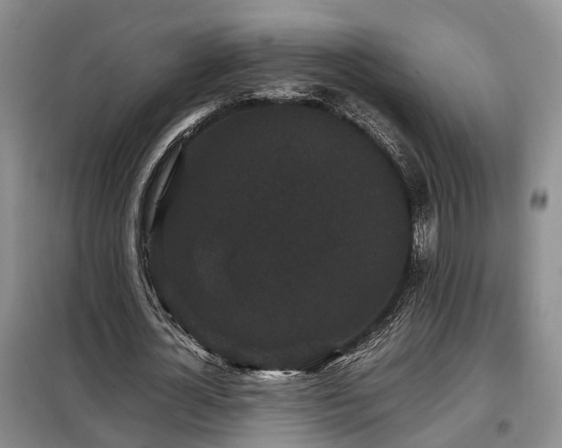 X0000099290724200805090930