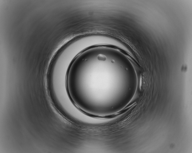 X0000099290726200805090930