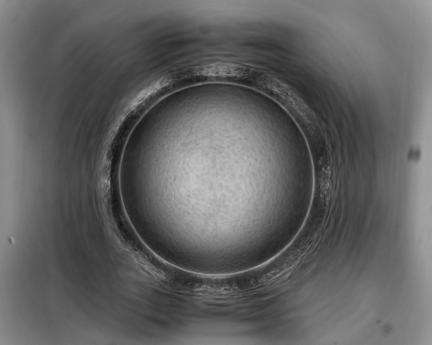 X0000099290727200805090930