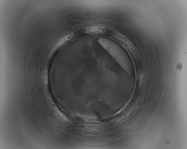 X0000099290729200805090930