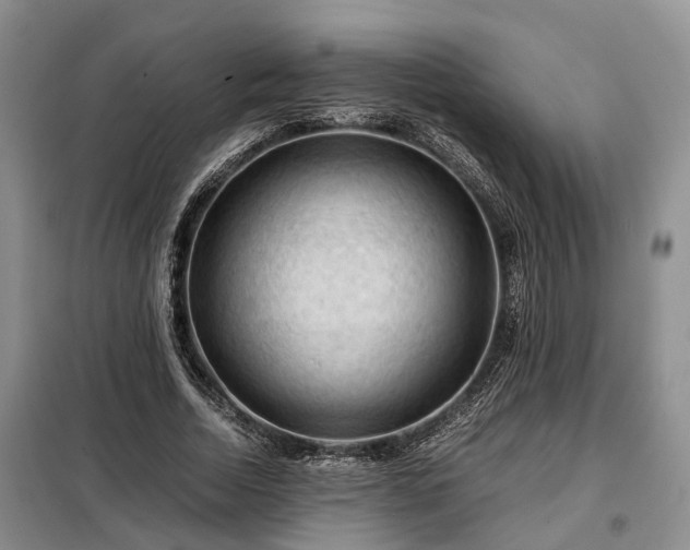 X0000099290730200805090930