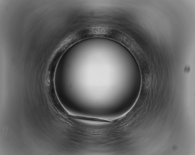 X0000099290731200805090930