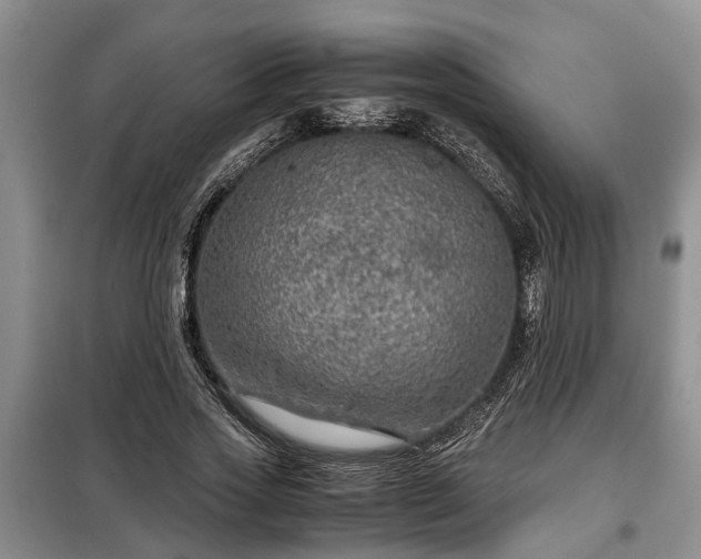 X0000099290733200805090930
