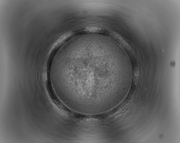 X0000099290734200805090930