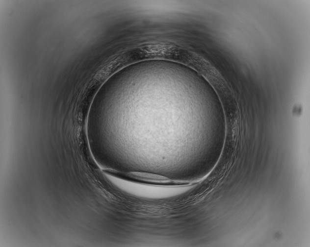X0000099290737200805090930