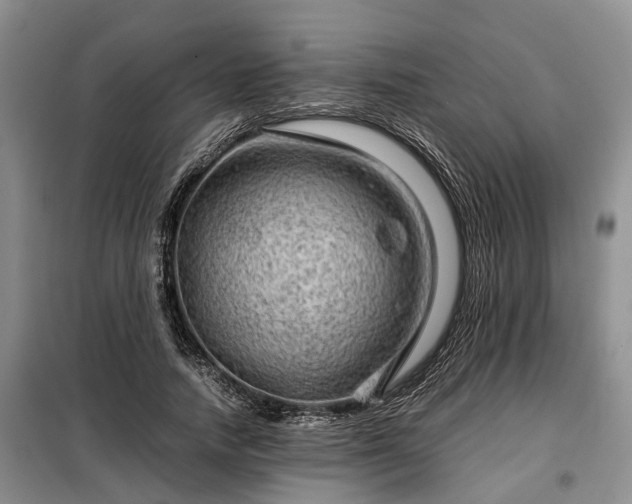 X0000099290738200805090930