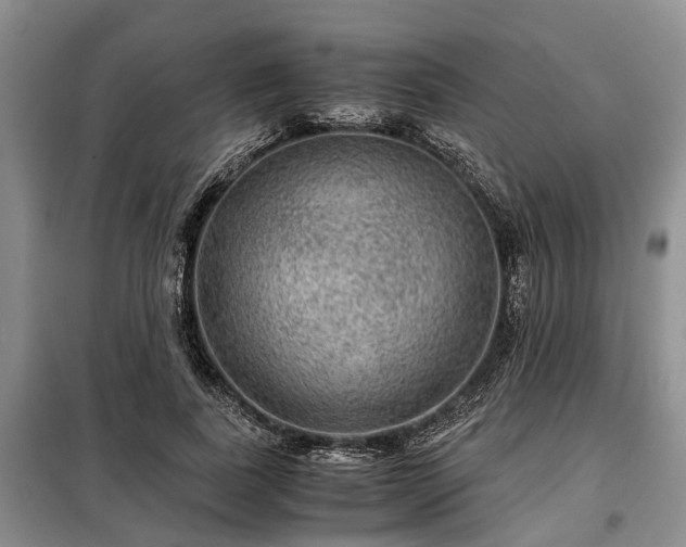 X0000099290739200805090930