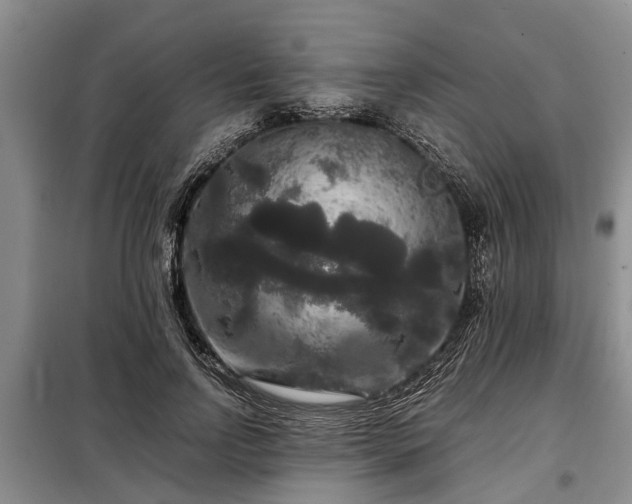 X0000099290742200805090930