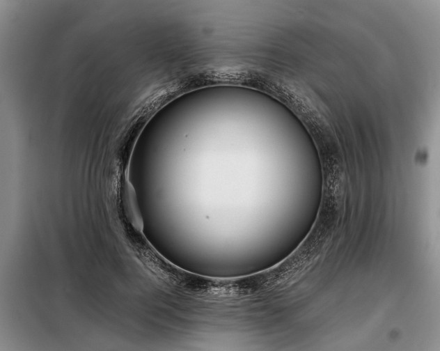 X0000099290744200805090930