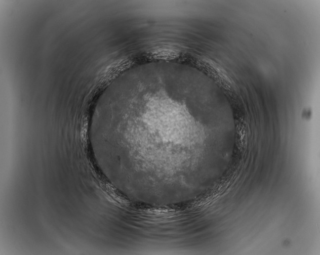 X0000099290745200805090930
