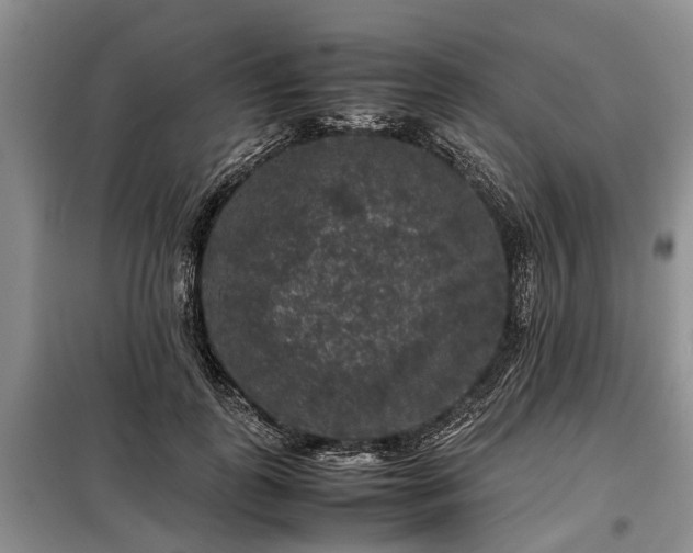 X0000099290747200805090930