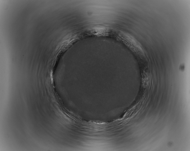X0000099290748200805090930