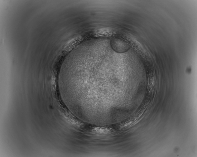 X0000099290749200805090930