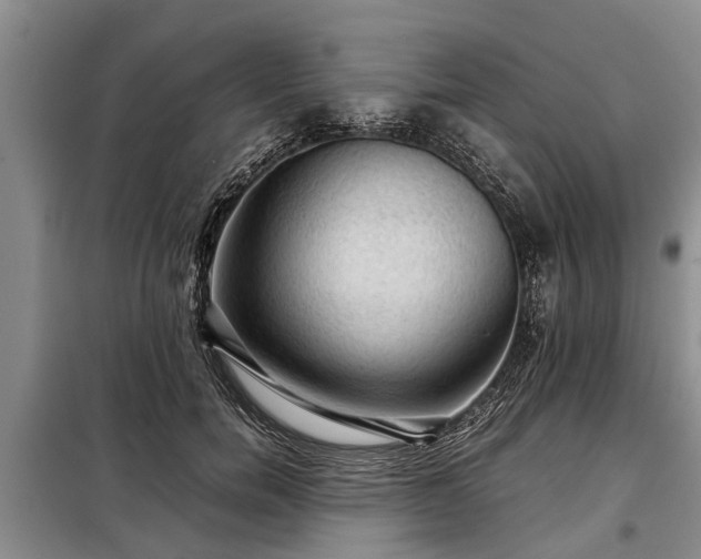 X0000099290750200805090930