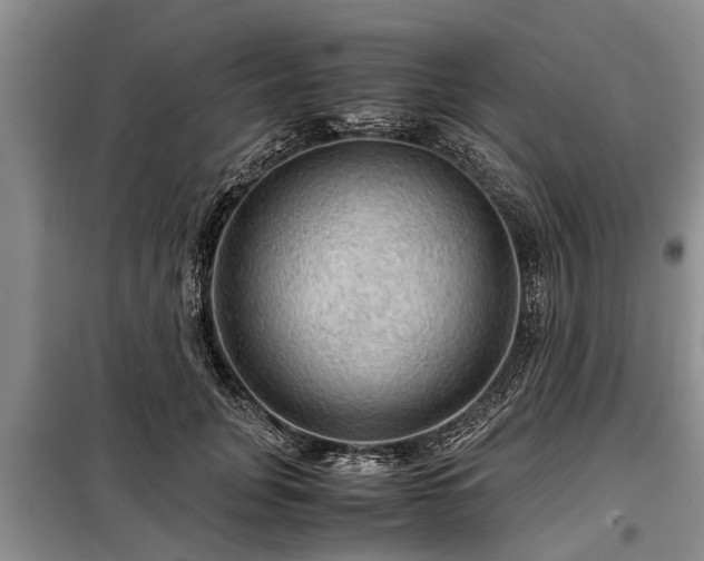 X0000099290751200805090930