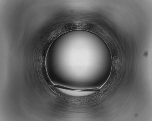 X0000099290752200805090930