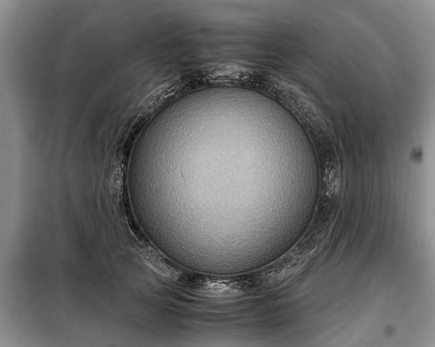 X0000099290753200805090930