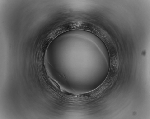 X0000099290754200805090930