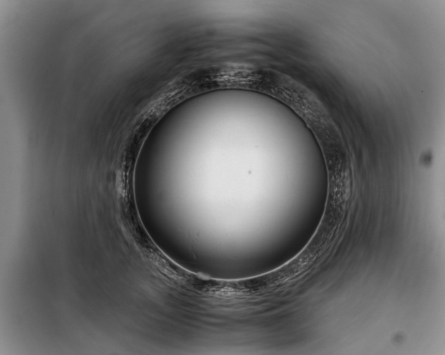 X0000099290755200805090930