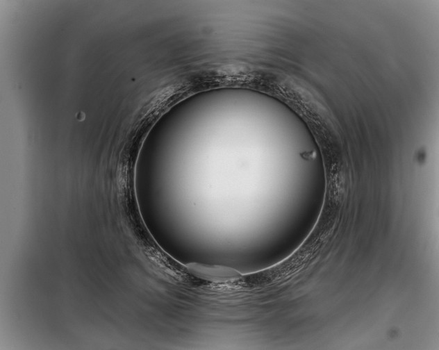 X0000099290756200805090930