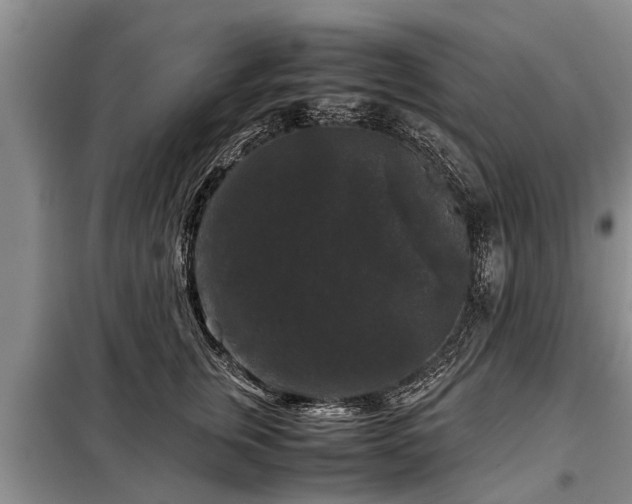 X0000099290759200805090930