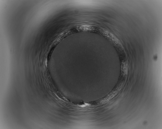 X0000099290760200805090930